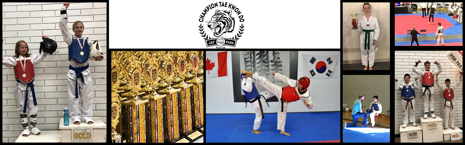 Champion Taekwondo Penticton